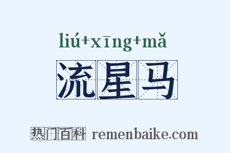 流星马是什么意思的图片